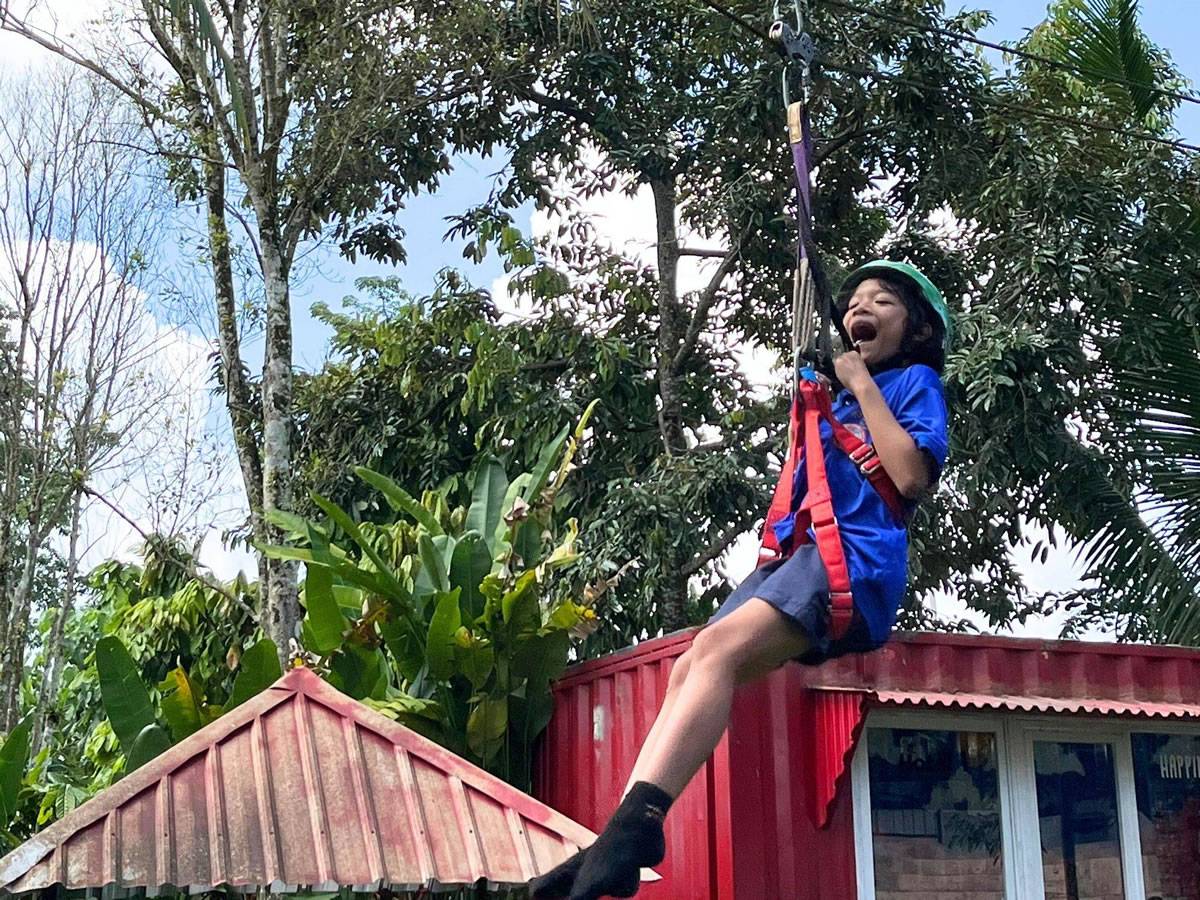 Flying Fox